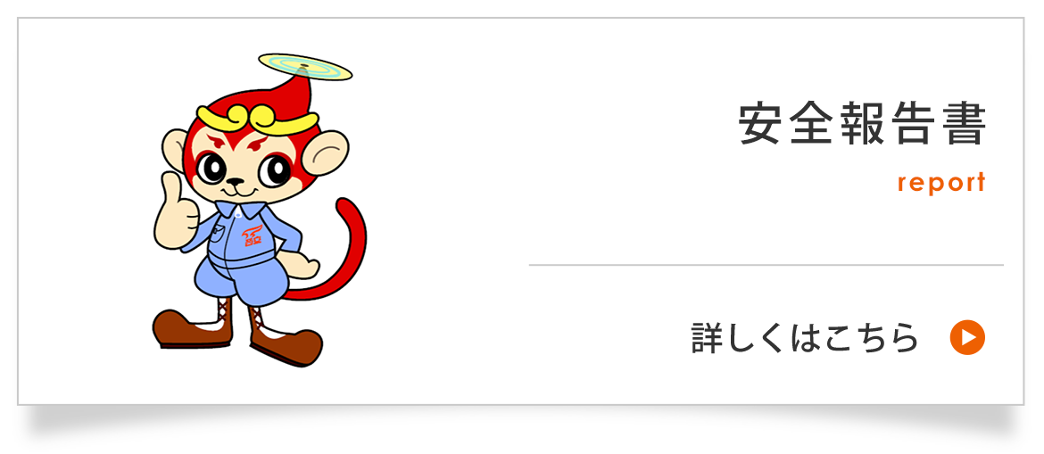 安全報告書