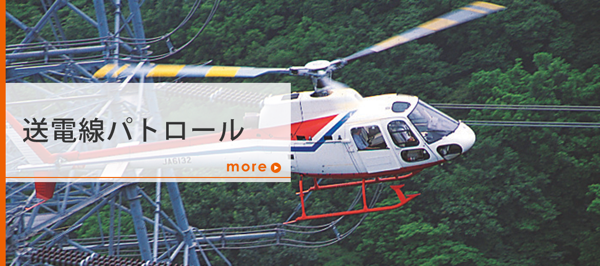 送電線パトロール